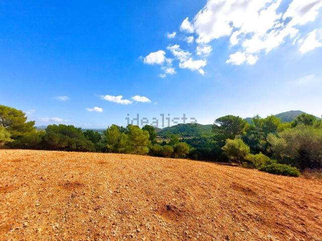 Terreno, Manacor
