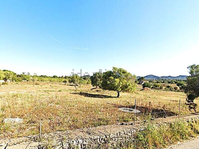 Terreno, Manacor