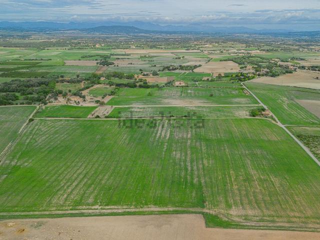 Terreno, Manacor