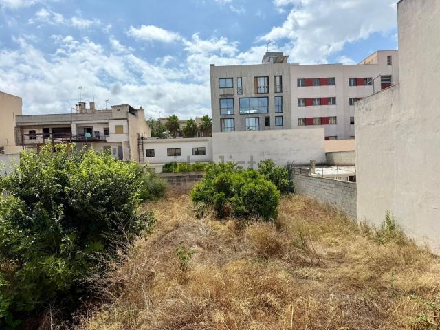 Terreno, Manacor