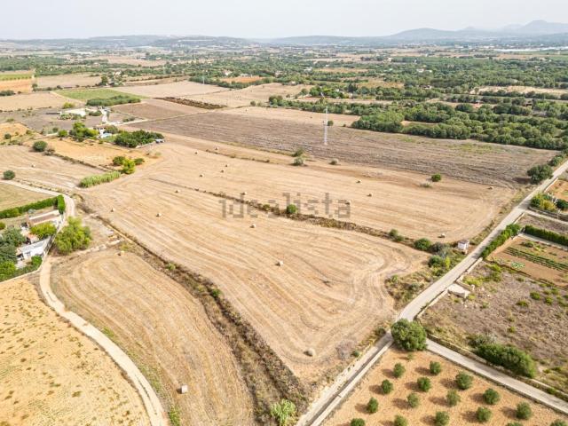 Terreno, Manacor