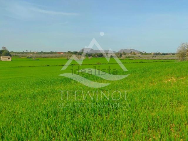 Terreno, Manacor