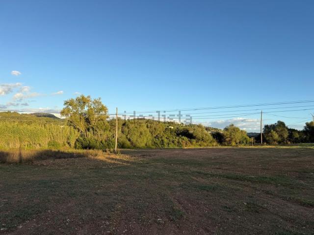 Terreno, Manacor