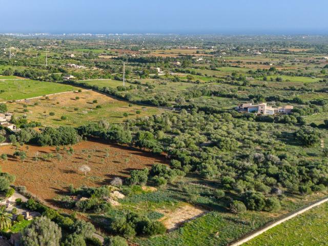 Terreno, Manacor