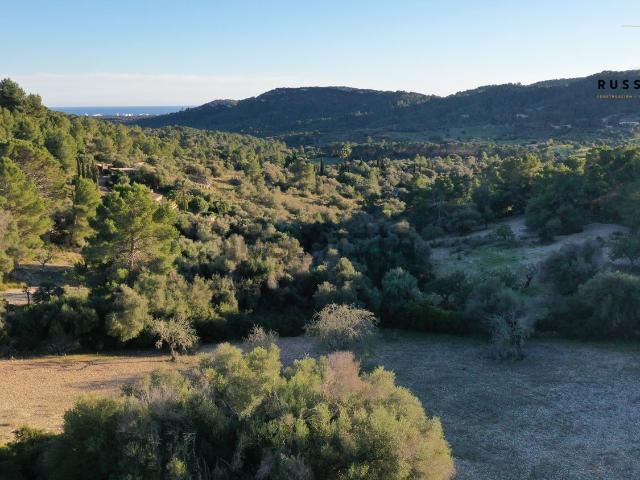 Terreno, Manacor