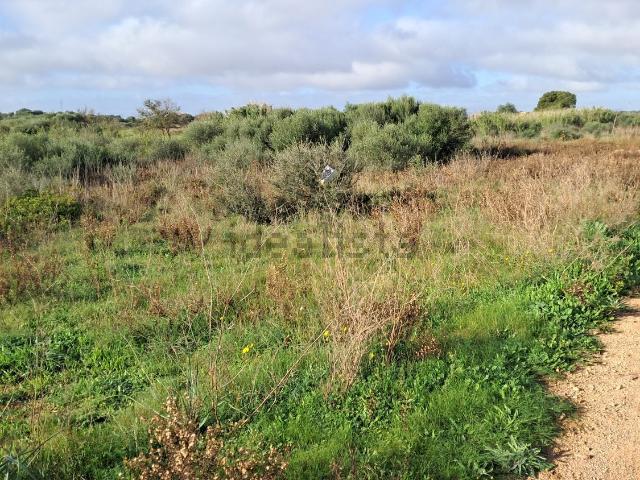Terreno, Manacor