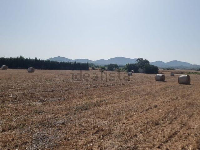 Terreno, Manacor