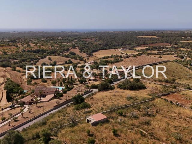 Terreno, Manacor