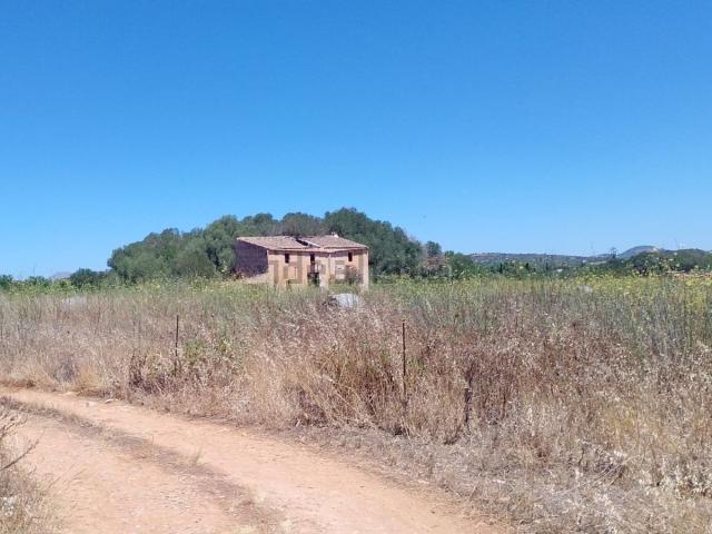 Terreno, Manacor