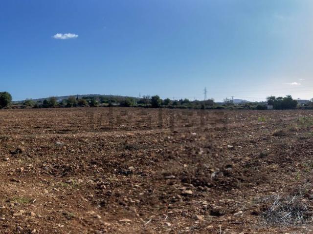 Terreno, Manacor