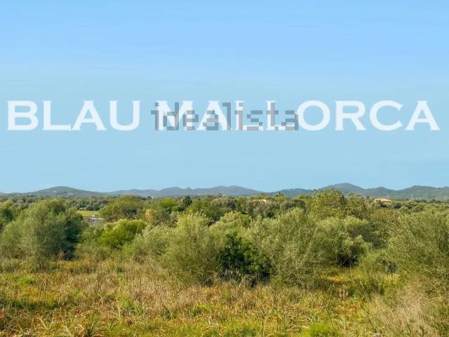 Terreno, Manacor