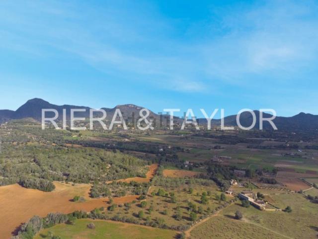 Terreno, Manacor