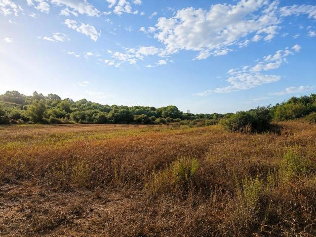 Terreno, Manacor