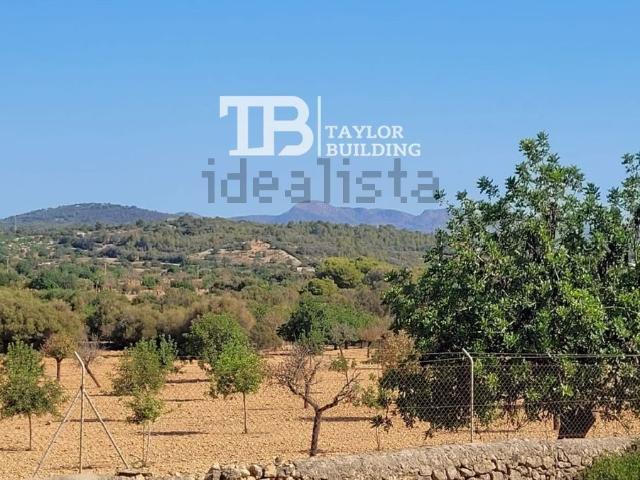 Terreno, Manacor