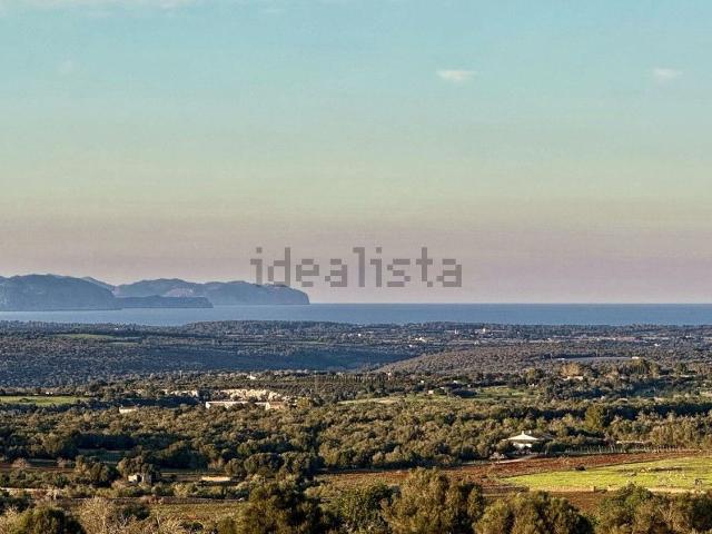 Terreno, Manacor