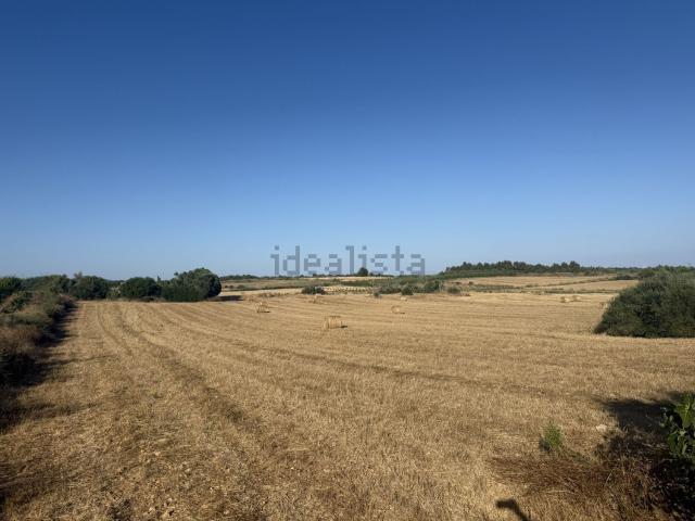 Terreno, Manacor