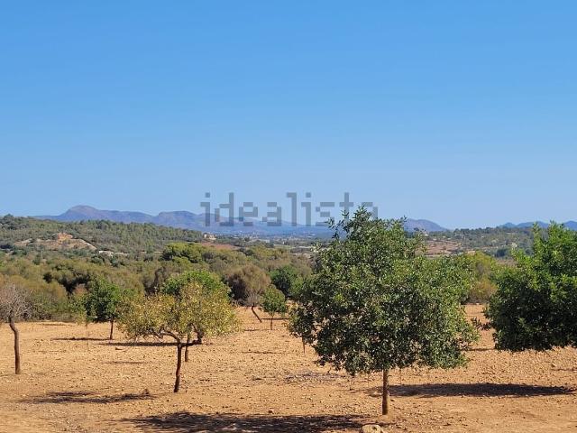 Terreno, Manacor