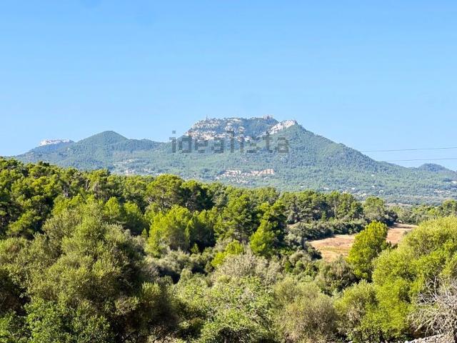 Terreno, Manacor