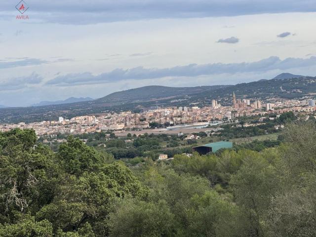 Terreno, Manacor