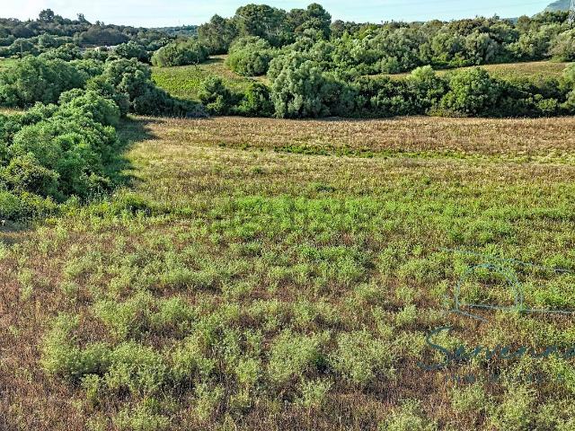 Terreno, Manacor