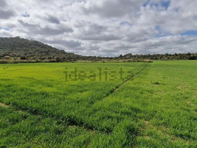 Terreno, Manacor