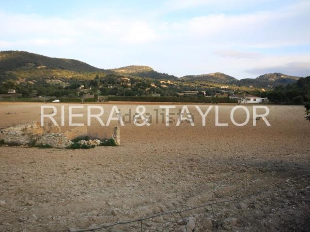Terreno, Manacor