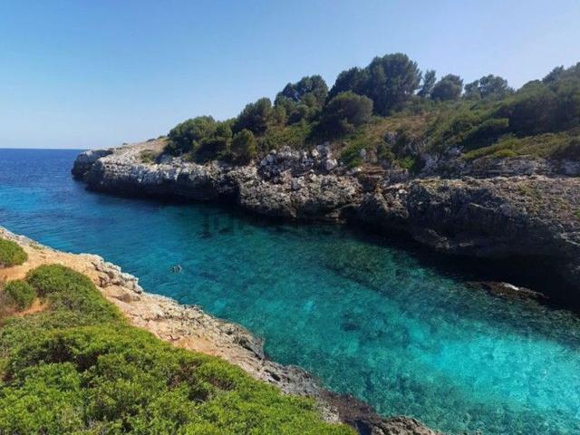 Terreno, Manacor
