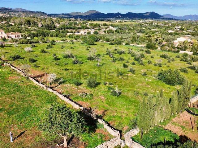 Terreno, Manacor