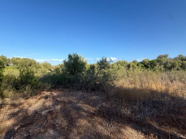 Terreno, Manacor