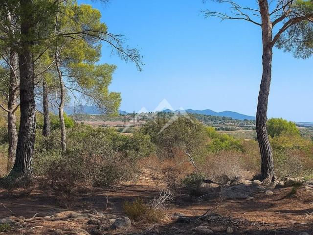Terreno, Manacor