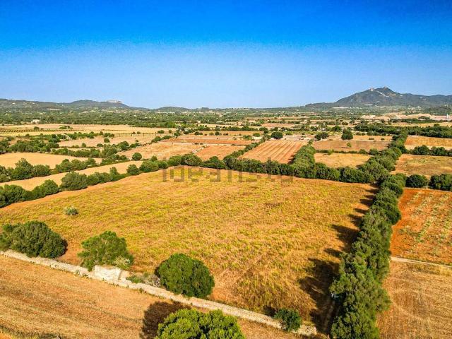 Terreno, Manacor