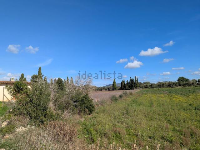 Terreno, Manacor