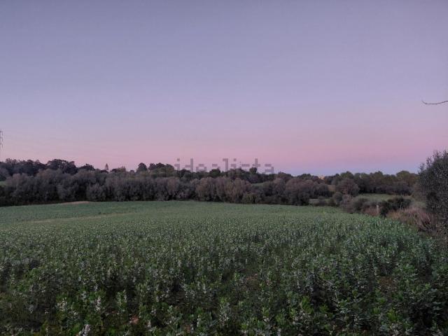 Terreno, Manacor