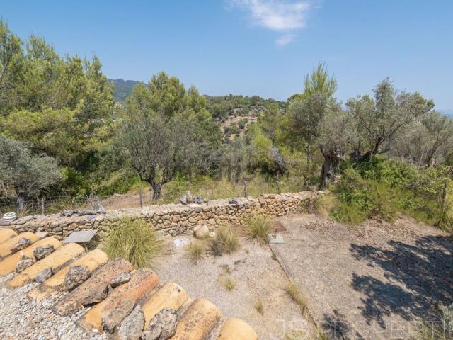 Terreno, Mancor de la Vall