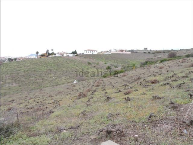 Terreno, Manilva