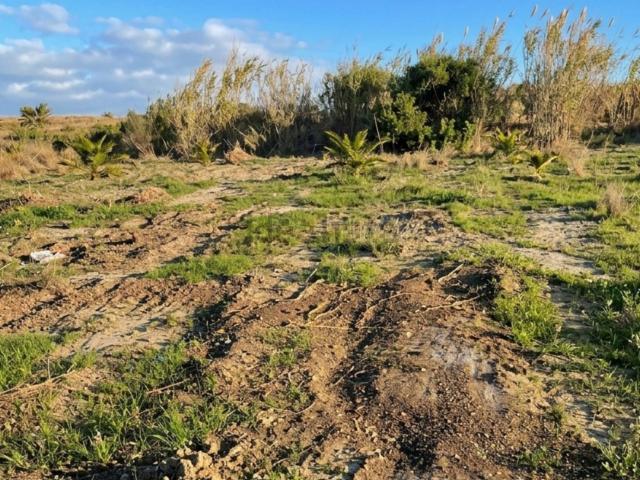 Terreno, Manilva