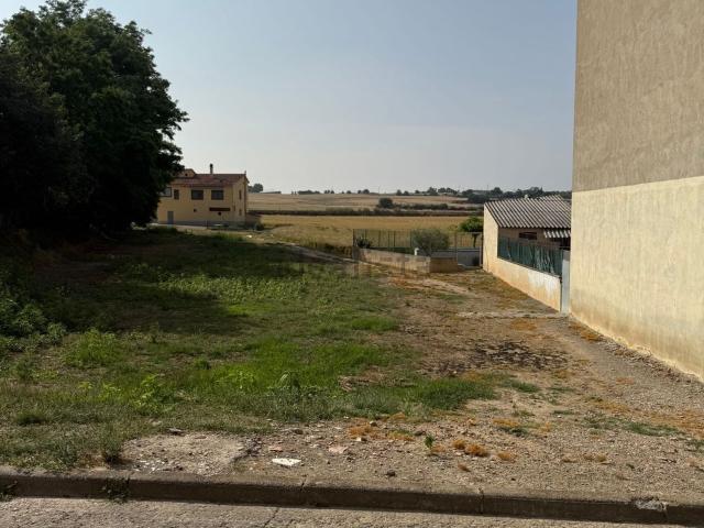 Terreno, Manlleu