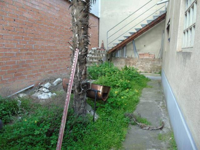 Terreno, Manlleu