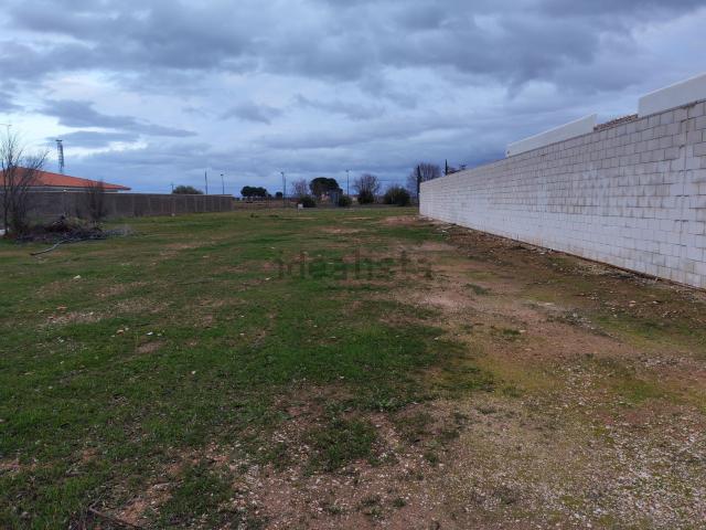 Terreno, Manzanares
