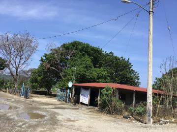 Terreno Manzanillo