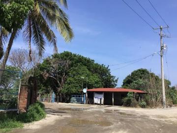 Terreno Manzanillo