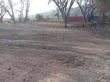 Terreno Manzanillo