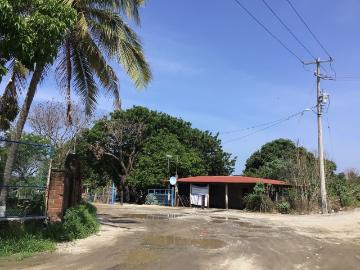 Terreno Manzanillo