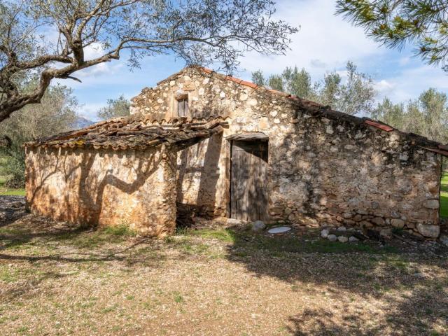 Terreno, Mas de Barberans