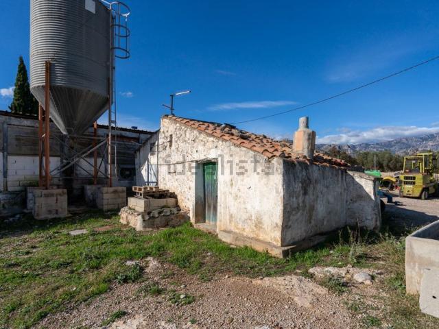 Terreno, Mas de Barberans
