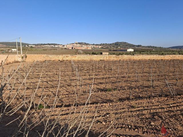 Terreno, Masllorenç