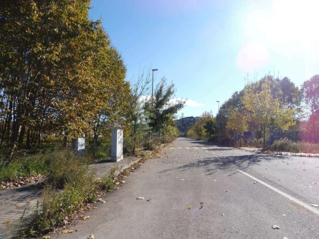 Terreno, Massanes