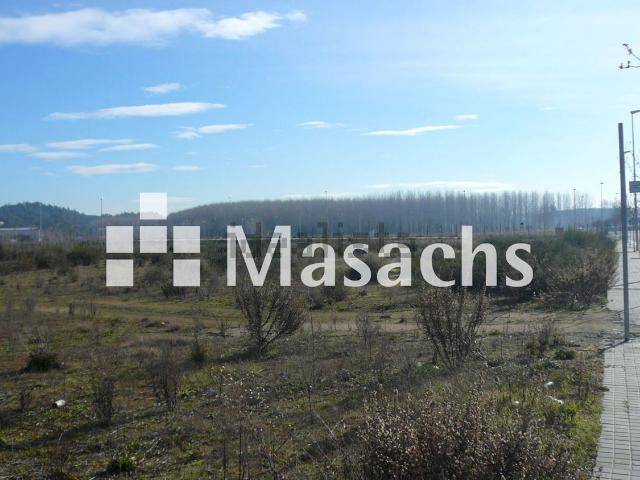 Terreno, Massanes