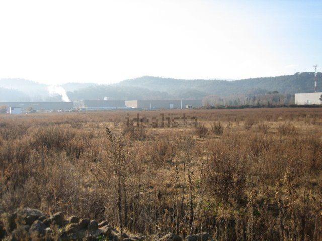 Terreno, Massanes