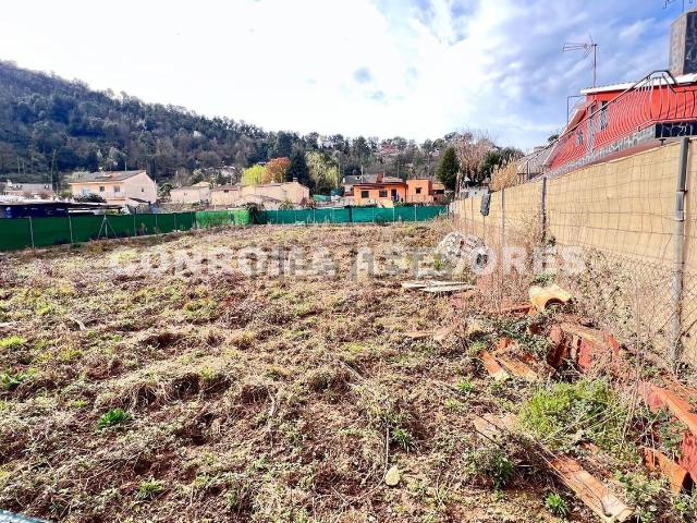 Terreno, Massanes